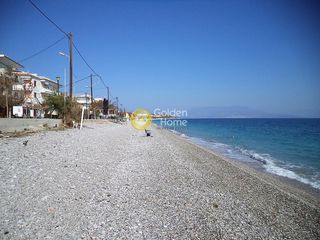 Κατάστημα 170 τ.μ. για πώληση, Αχαΐα, Ακράτα-thumb-3