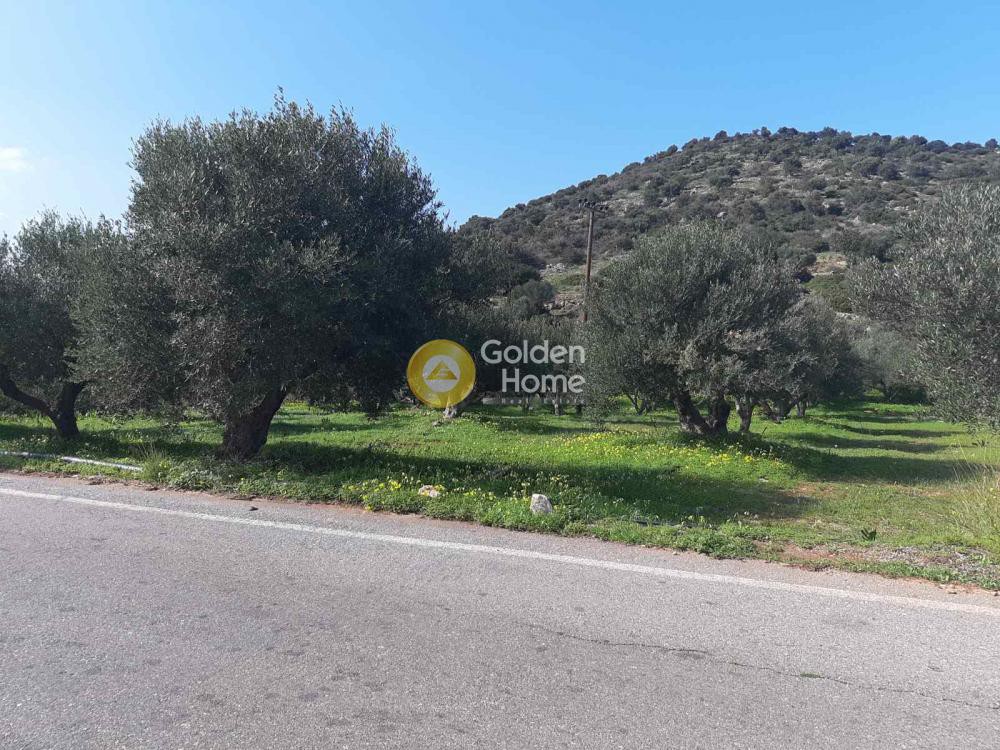 Οικόπεδο 5.600 τ.μ. προς πώληση, Ν. Λασιθίου, Βραχάσι