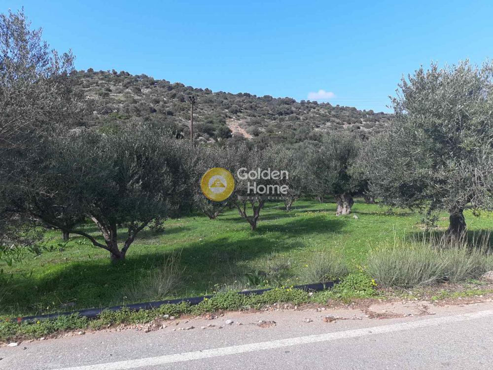 Οικόπεδο 5.600 τ.μ. προς πώληση, Ν. Λασιθίου, Βραχάσι