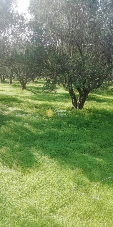 Οικόπεδο 2.900 τ.μ. προς πώληση, Ν. Ηρακλείου, Τετραχώρι