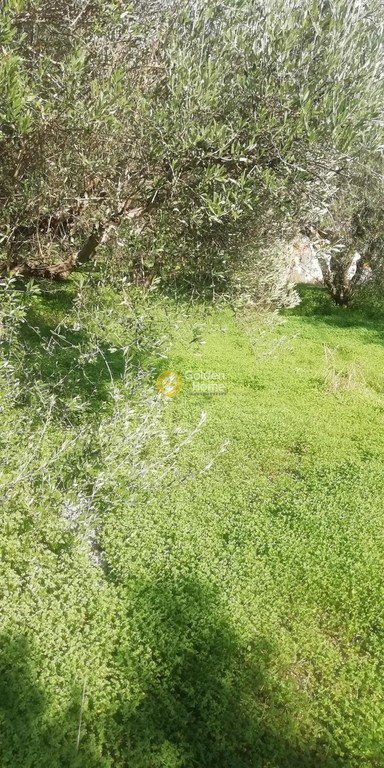 Οικόπεδο 2.900 τ.μ. προς πώληση, Ν. Ηρακλείου, Τετραχώρι