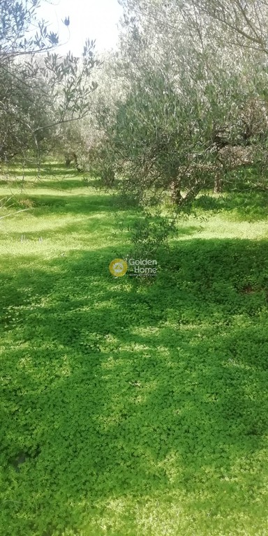 Οικόπεδο 2.900 τ.μ. προς πώληση, Ν. Ηρακλείου, Τετραχώρι