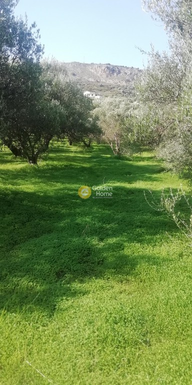 Οικόπεδο 2.900 τ.μ. προς πώληση, Ν. Ηρακλείου, Τετραχώρι