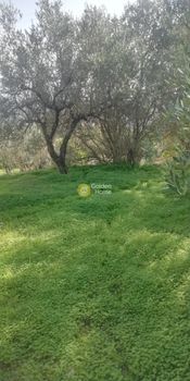 Land plot 2.900sqm for sale-Tetrachori » Kerasia