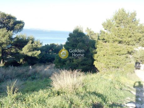 Land plot 4.000sqm for sale-Koropi » Agios Dimitrios
