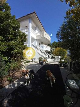 Detached home 300sqm for sale-Skala » Grammousa