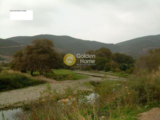 Οικόπεδο 458.000 τ.μ. για πώληση, Εύβοια, Κάρυστος-thumb-13