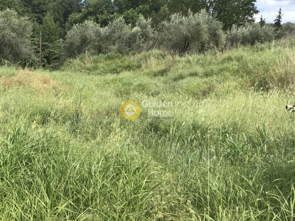 Οικόπεδο 838 τ.μ. προς πώληση, Φθιώτιδας, Μαλεσίνα
