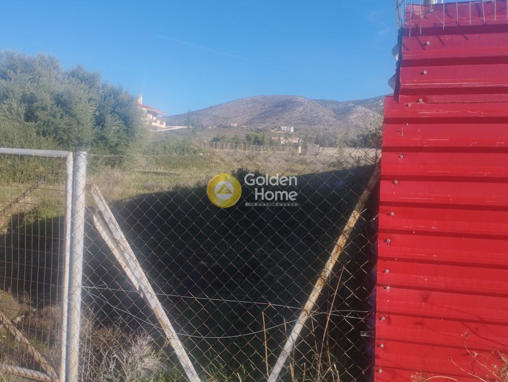 Αγροτεμάχια 1.812 τ.μ. προς πώληση, Κέντρο Καλυβίων Θορικού