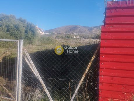 Αγροτεμάχια 1.812 τ.μ. για πώληση