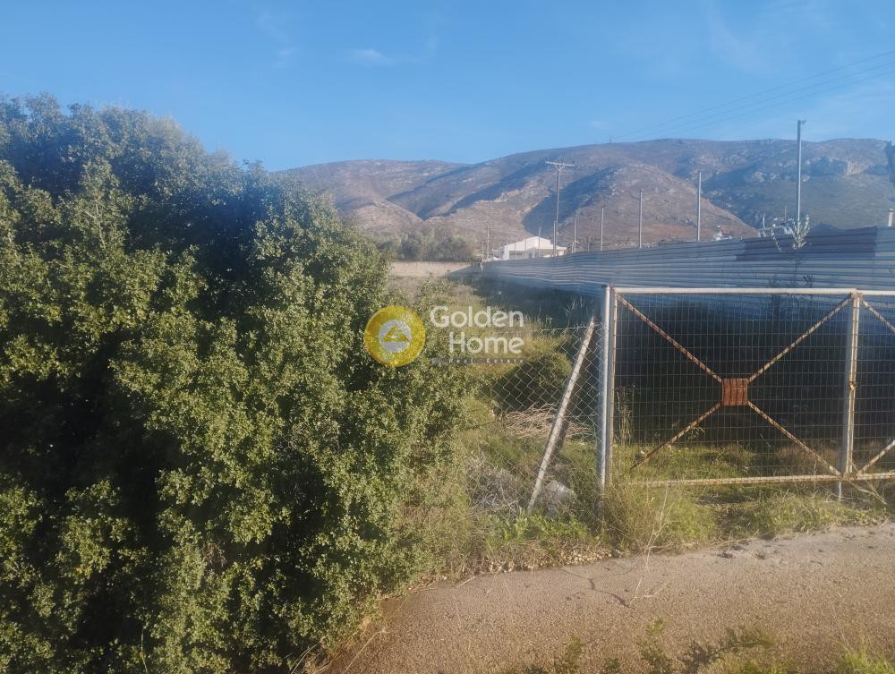 Αγροτεμάχια 1.812 τ.μ. προς πώληση, Κέντρο Καλυβίων Θορικού
