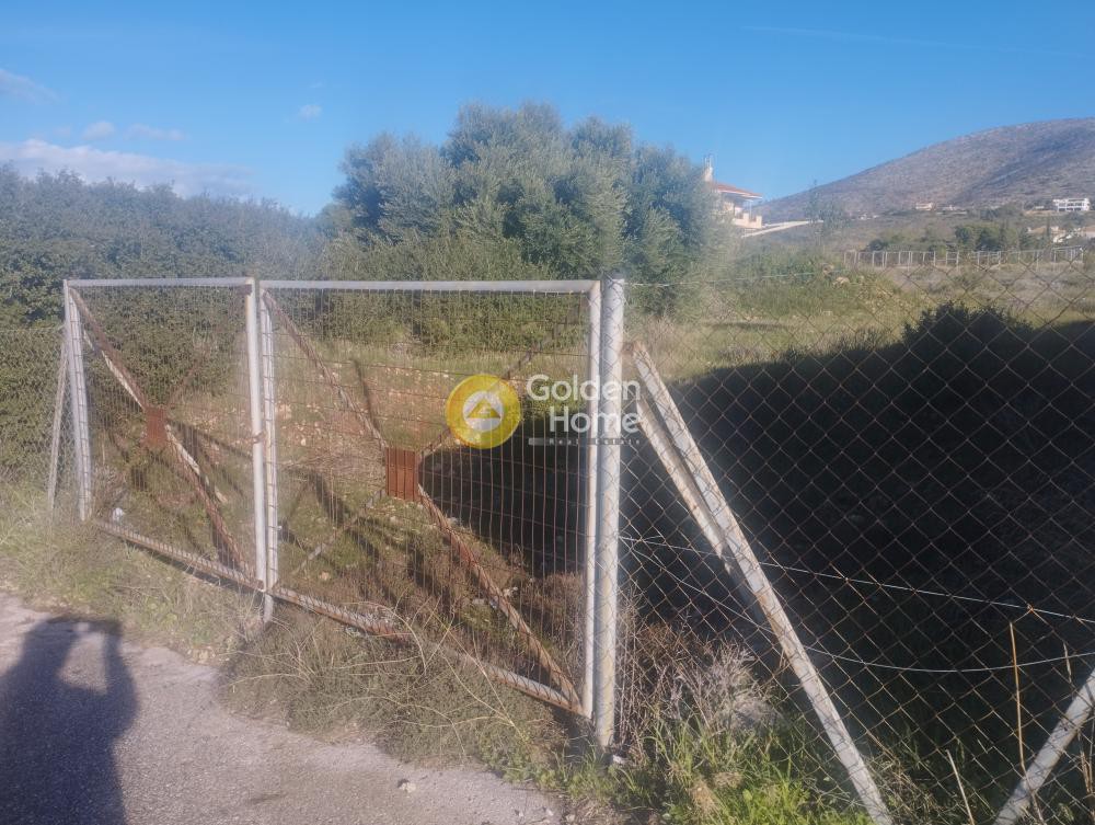 Αγροτεμάχια 1.812 τ.μ. προς πώληση, Κέντρο Καλυβίων Θορικού