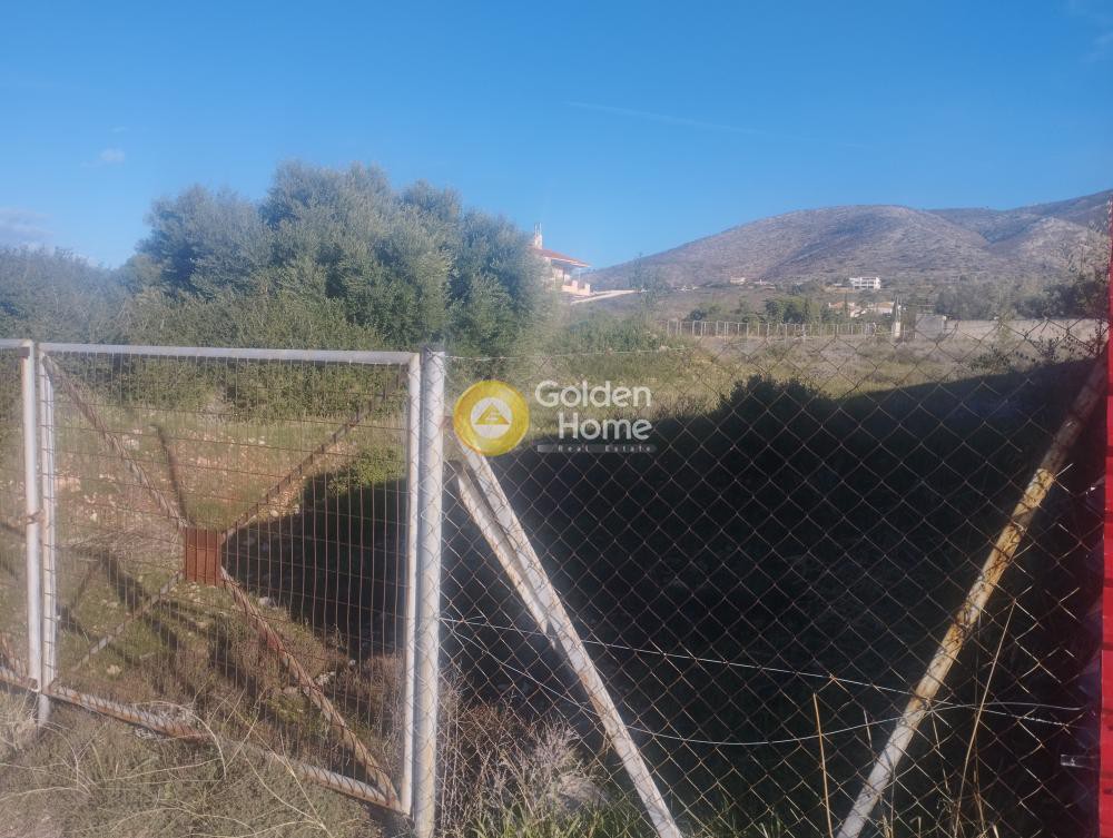 Αγροτεμάχια 1.812 τ.μ. προς πώληση, Κέντρο Καλυβίων Θορικού