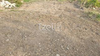 Οικόπεδο 10.723 τ.μ. για πώληση, Αχαΐα, Μεσσατίδα-thumb-1