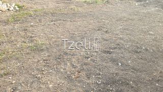 Οικόπεδο 10.723 τ.μ. για πώληση, Αχαΐα, Μεσσατίδα-thumb-2