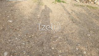 Οικόπεδο 10.723 τ.μ. για πώληση, Αχαΐα, Μεσσατίδα-thumb-3