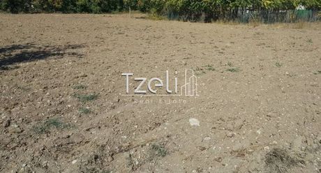 Οικόπεδο 10.723τ.μ. για πώληση-Μεσσατίδα » Καλλιθεόκαμπος