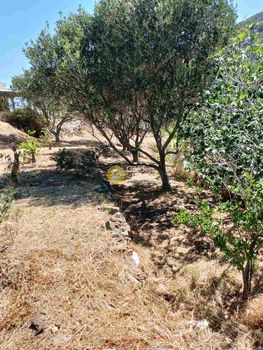 Land plot 224sqm for sale-Naxos - Drimalia » Apollonas