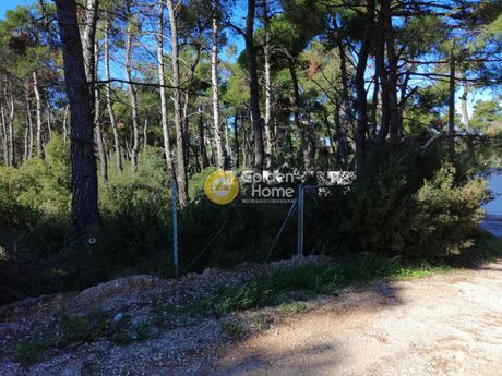 Land plot 2.035sqm for sale-Drosia