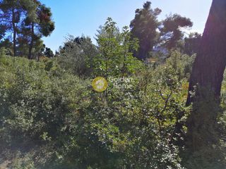 Οικόπεδο 2.035 τ.μ. για πώληση, Αθήνα - Βόρεια Προάστια, Δροσιά-thumb-7