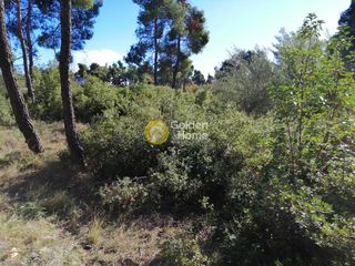 Οικόπεδο 2.035 τ.μ. για πώληση, Αθήνα - Βόρεια Προάστια, Δροσιά-thumb-5