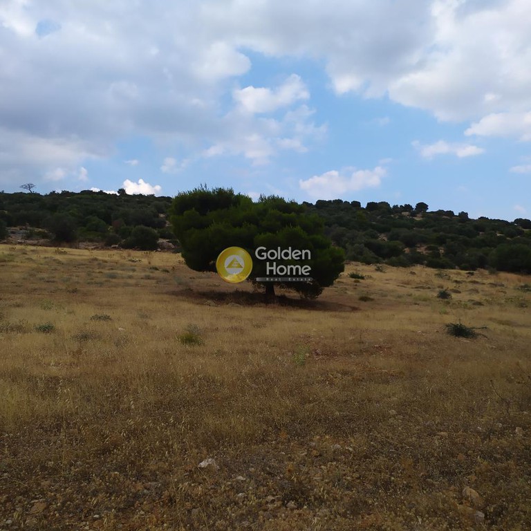 Οικόπεδο 10.000 τ.μ. προς πώληση, Αθήνα - Ανατολικά Προάστια, Κορωπί