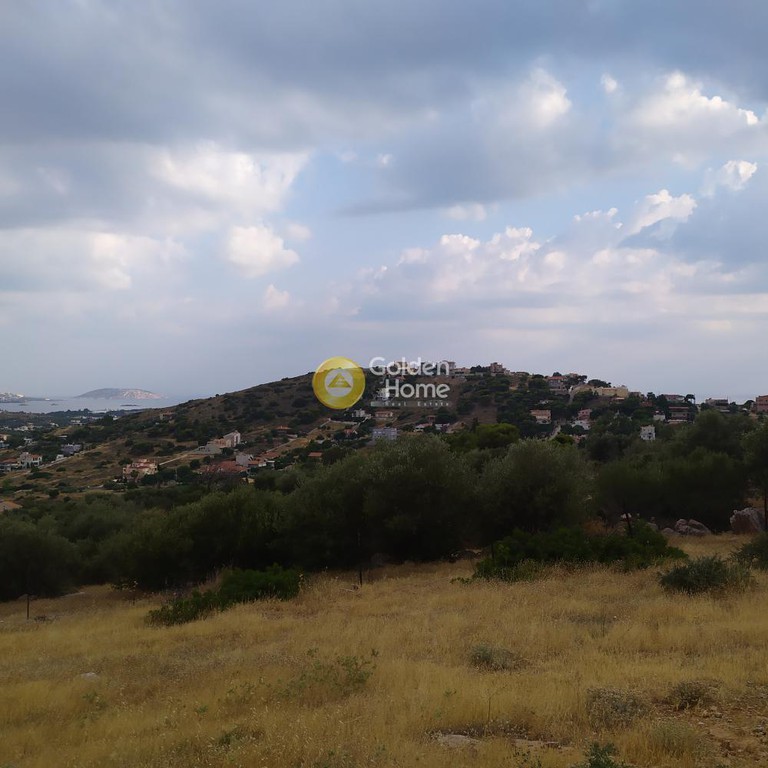 Οικόπεδο 10.000 τ.μ. προς πώληση, Αθήνα - Ανατολικά Προάστια, Κορωπί