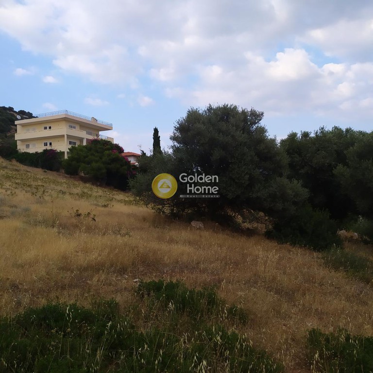 Οικόπεδο 10.000 τ.μ. προς πώληση, Αθήνα - Ανατολικά Προάστια, Κορωπί