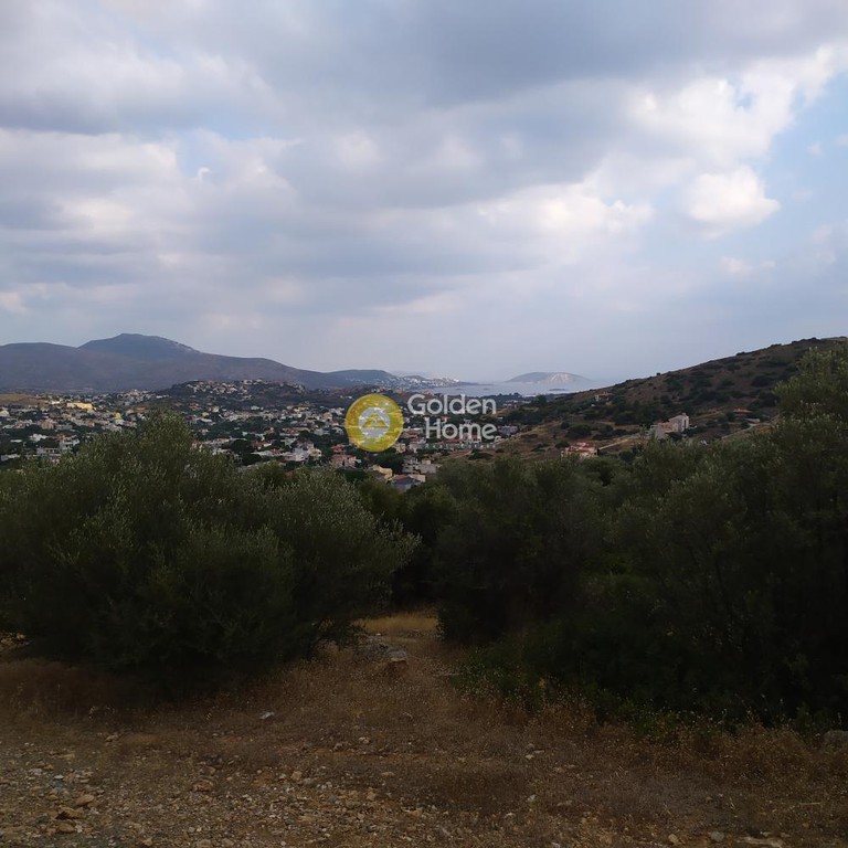 Οικόπεδο 10.000 τ.μ. προς πώληση, Αθήνα - Ανατολικά Προάστια, Κορωπί