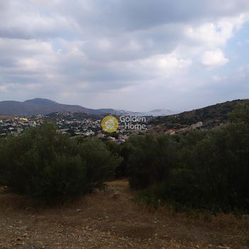 Land plot 10.000sqm for sale-Koropi » Agios Dimitrios