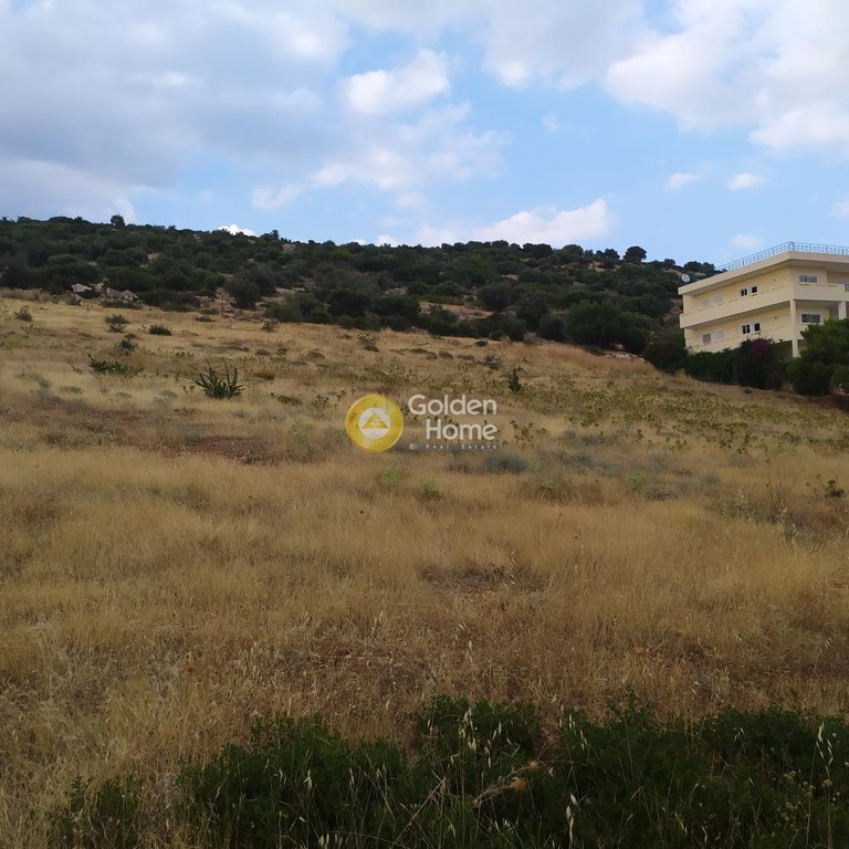 Οικόπεδο 10.000 τ.μ. προς πώληση, Αθήνα - Ανατολικά Προάστια, Κορωπί