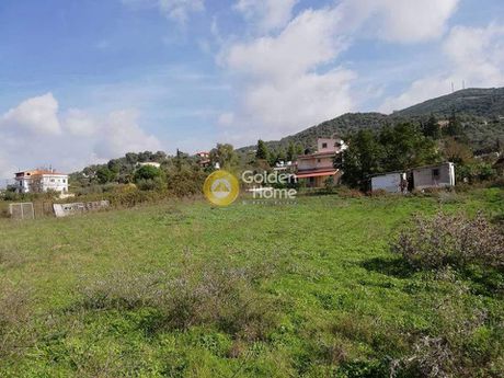 Land plot 2.800sqm for sale-Aidipsos » Loutra Aidipsou