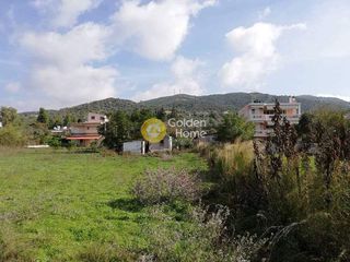 Οικόπεδο 2.800 τ.μ. για πώληση, Εύβοια, Αιδηψός-thumb-2