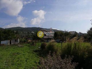 Οικόπεδο 2.800 τ.μ. για πώληση, Εύβοια, Αιδηψός-thumb-3