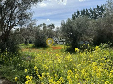 Land plot 775sqm for sale-Spata » Christoupoli