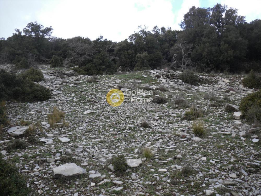 Αγροτεμάχια 1.454 τ.μ. προς πώληση, Βάστας