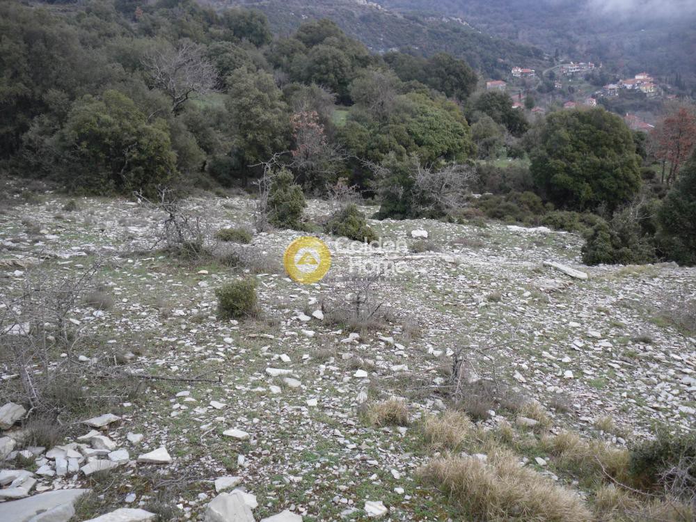 Αγροτεμάχια 1.454 τ.μ. προς πώληση, Βάστας