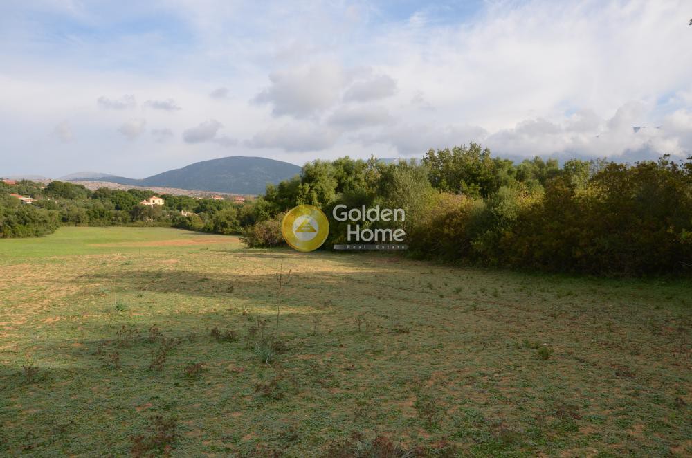 Αγροτεμάχια 22.000 τ.μ. προς πώληση, Λειβαθώ