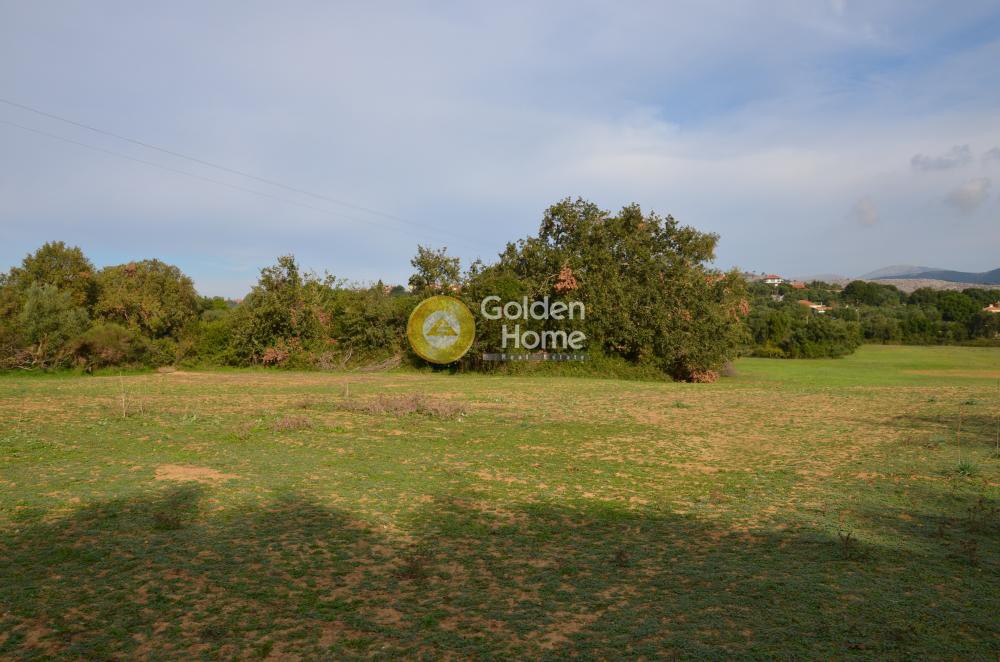 Αγροτεμάχια 22.000 τ.μ. προς πώληση, Λειβαθώ