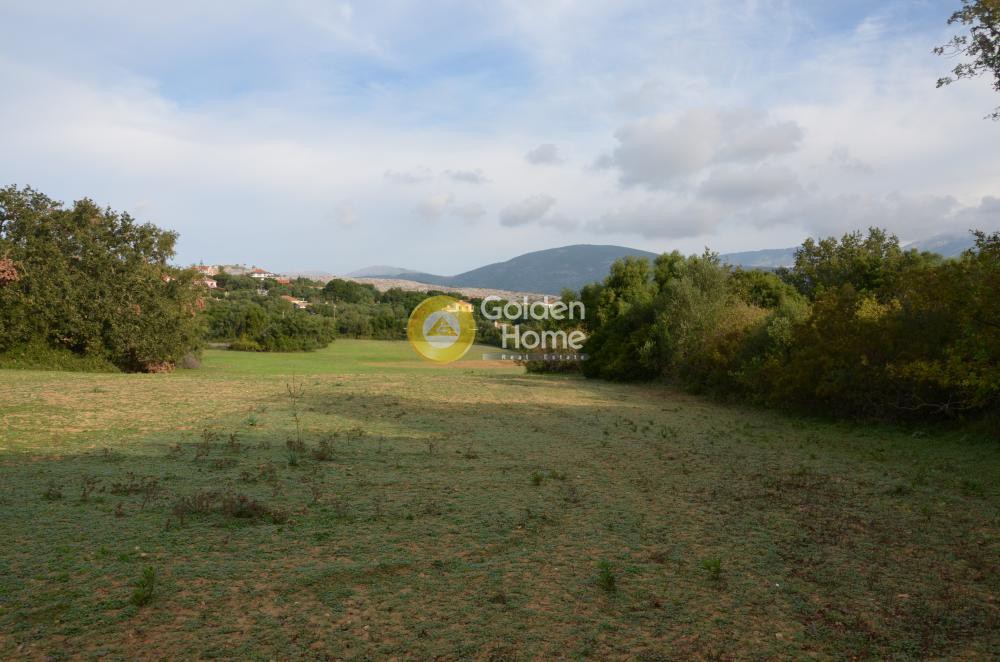 Αγροτεμάχια 22.000 τ.μ. προς πώληση, Λειβαθώ