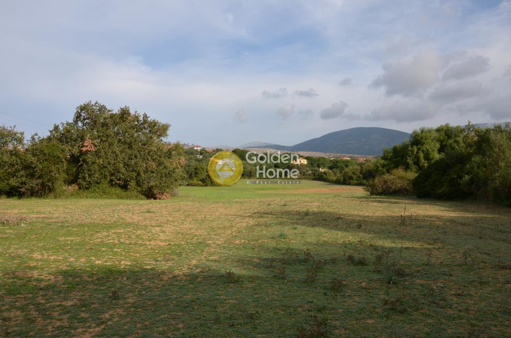 Αγροτεμάχια 22.000 τ.μ. προς πώληση, Λειβαθώ