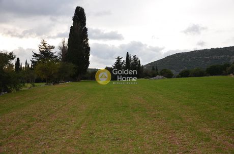 Parcel 22.000sqm for sale-Kefalonia » Leivatho