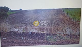 Οικόπεδο 13.500 τ.μ. για πώληση, Εύβοια, Μεσσαπία-thumb-2