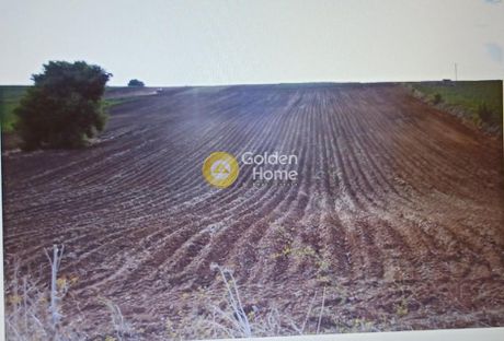 Land plot 13.500sqm for sale-Messapia » Kastella