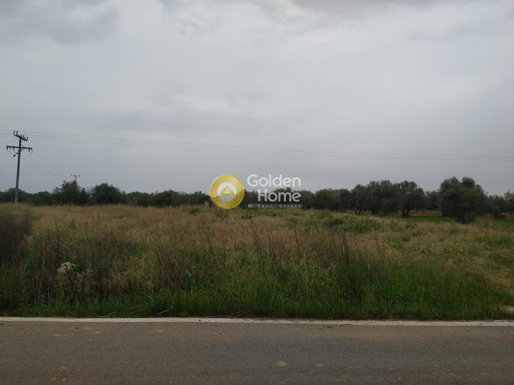 Land plot 6.100 sqm for sale, Polithea, Kastelli