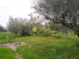Οικόπεδο 6.100 τ.μ. για πώληση, Ν. Ηρακλείου, Καστέλλι-thumb-1