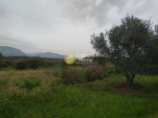 Οικόπεδο 6.100 τ.μ. για πώληση, Ν. Ηρακλείου, Καστέλλι-thumb-6