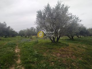 Οικόπεδο 6.100 τ.μ. για πώληση, Ν. Ηρακλείου, Καστέλλι-thumb-5