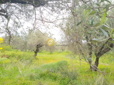 Land plot 6.100sqm for sale-Kastelli » Polithea