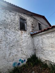 Μονοκατοικία 300 τ.μ. για πώληση, Αρκαδία, Κορύθιο-thumb-37